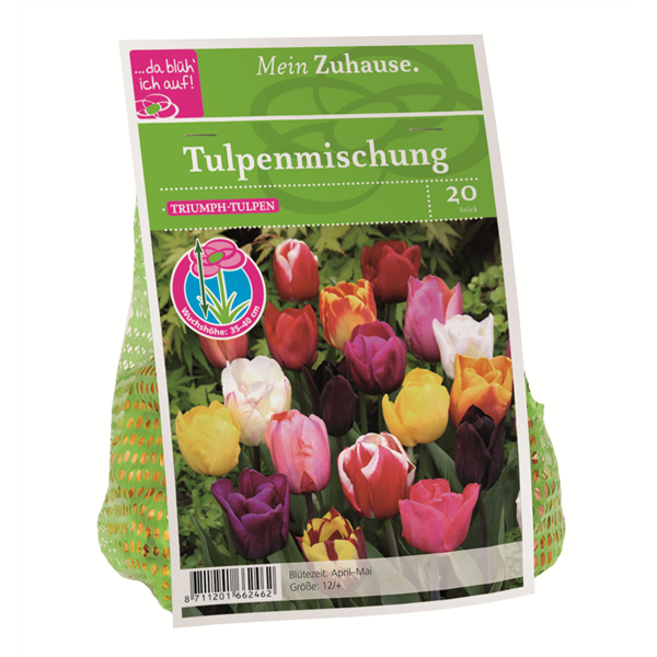 Blumenzwiebel Triumph Tulpen Mischung