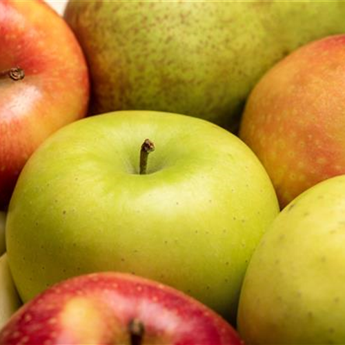 Reifetest für Äpfel