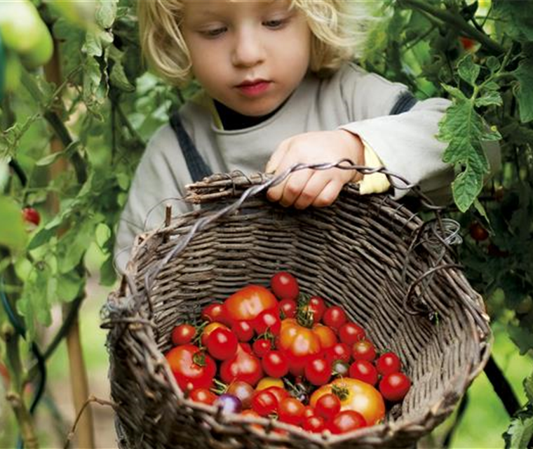 Nasch dich gesund! - Beerenobst