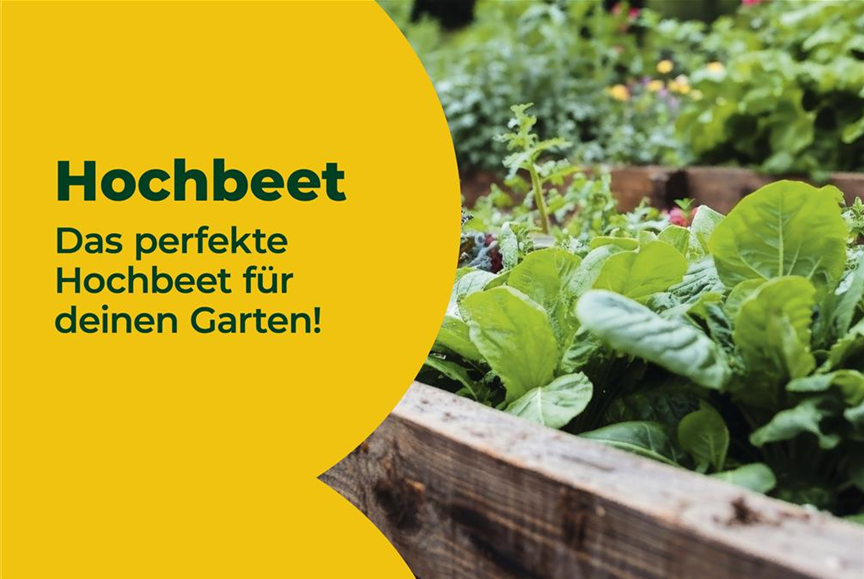 VKF_3-26_Hochbeet_MyShop_1920x1080px-2.jpg