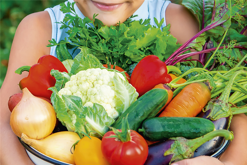 VKF_04_Garten-Gemüse_1910x700.jpg