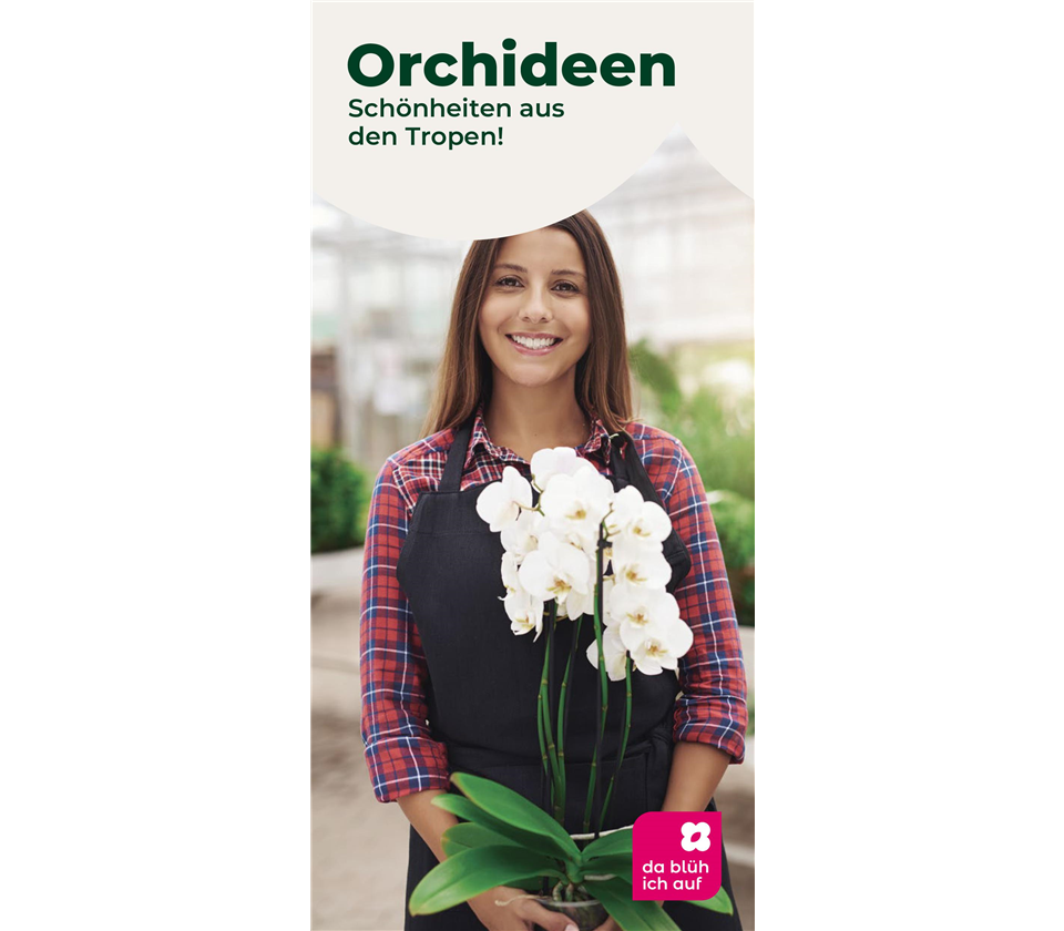 Flyer Orchideen