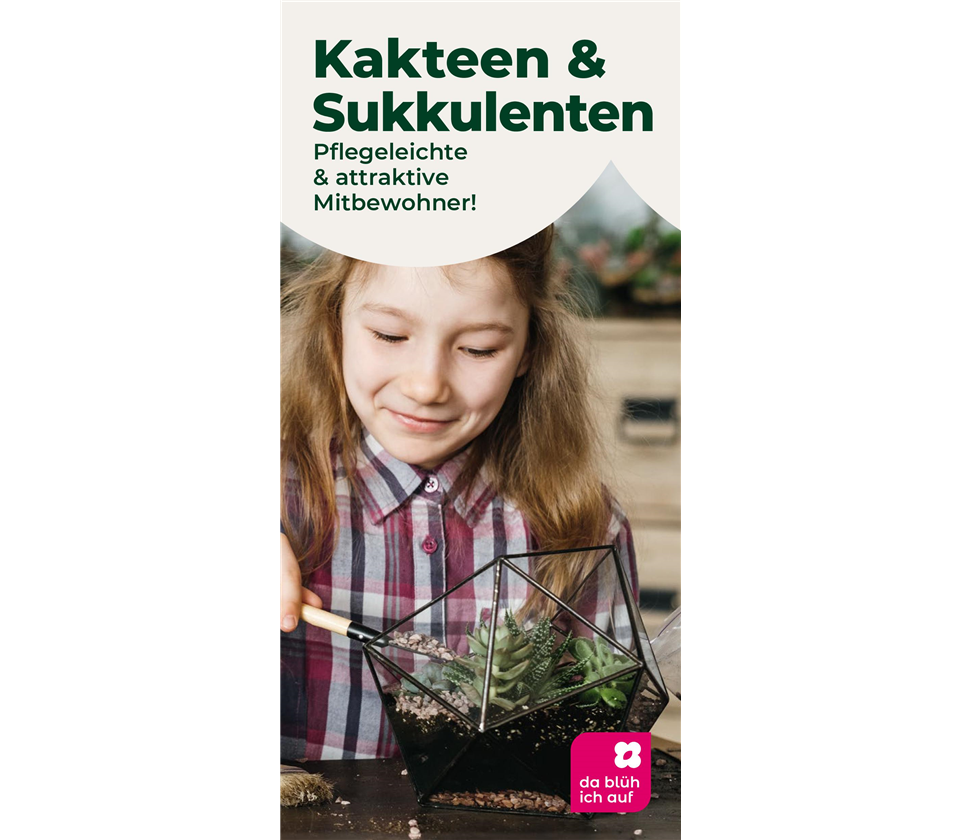 Flyer Kakteen