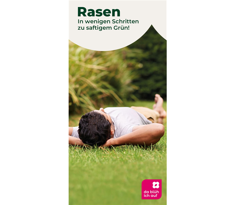Flyer Rasen