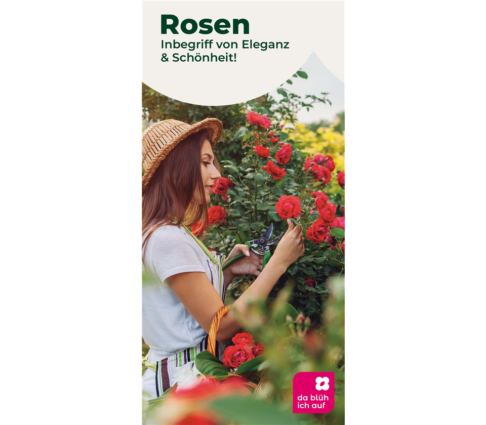 Flyer Rosen
