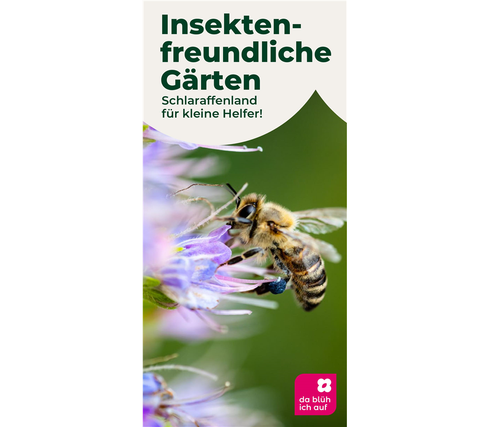 Flyer Bienen