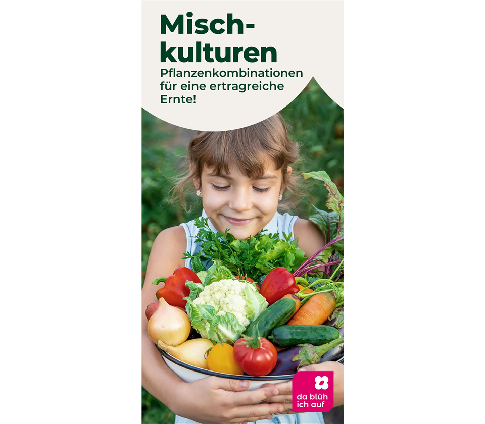 Flyer Mischkultur