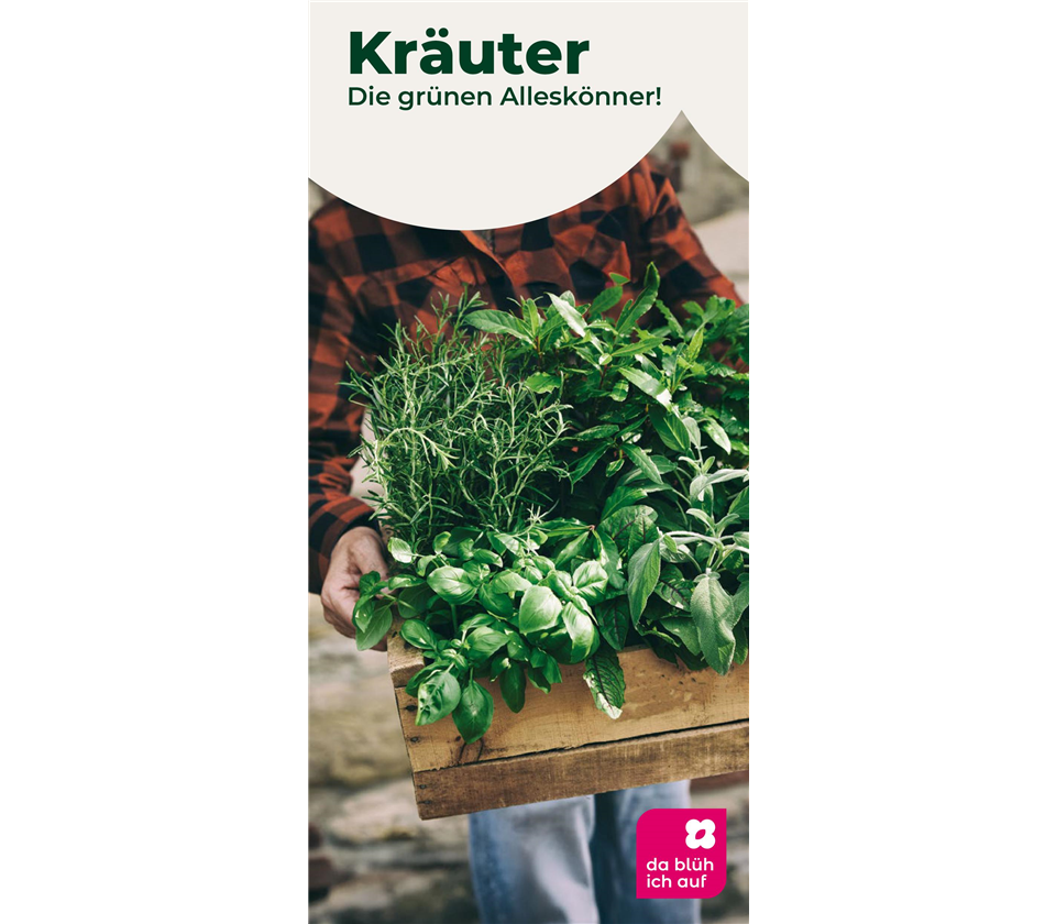 Flyer Kräuter