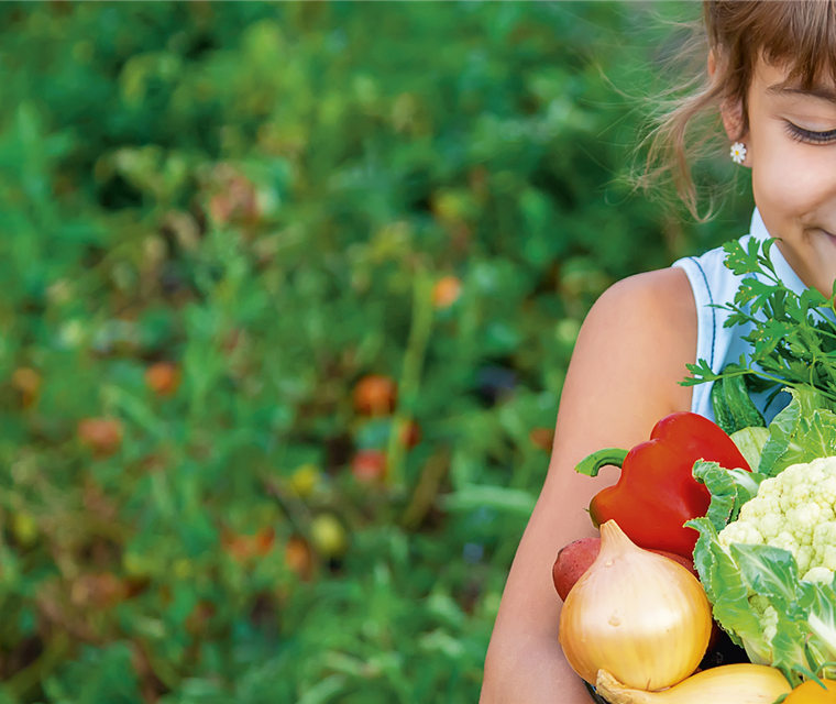 Garten auf dem Teller