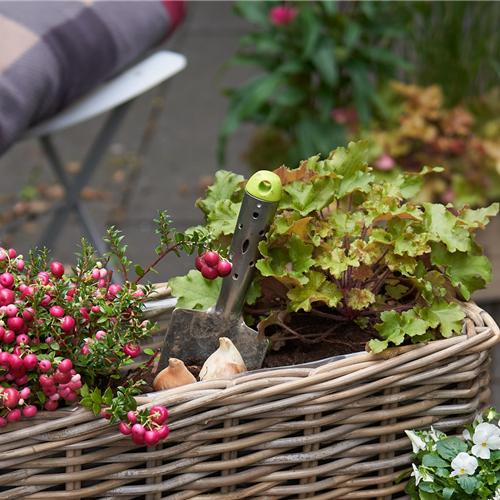 Gartenkalender Oktober 2025