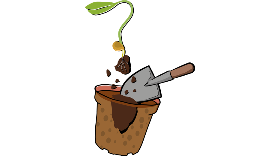 Tomate_Illu-3.png
