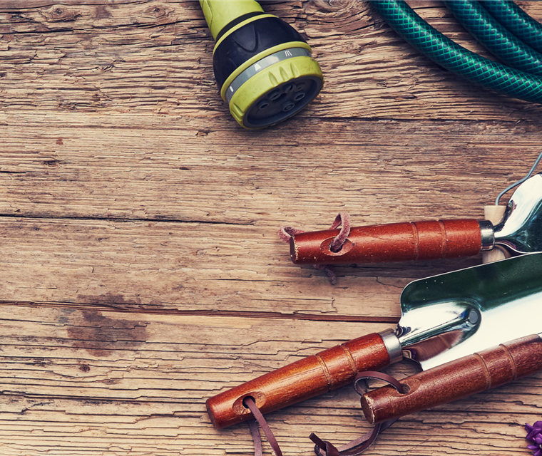 Deine Top 10 Garten Basics