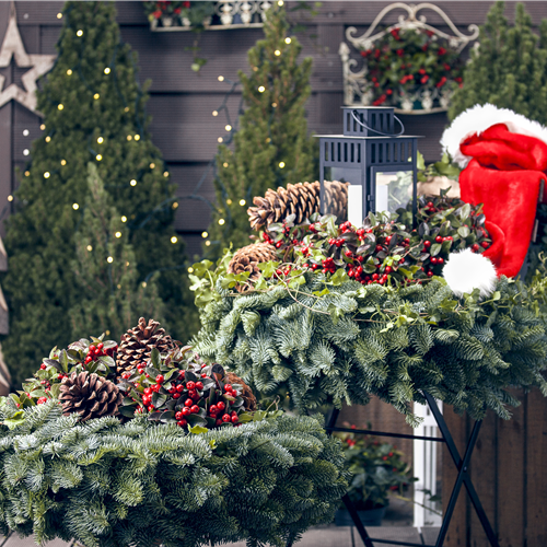 Gartentipps im November 2025