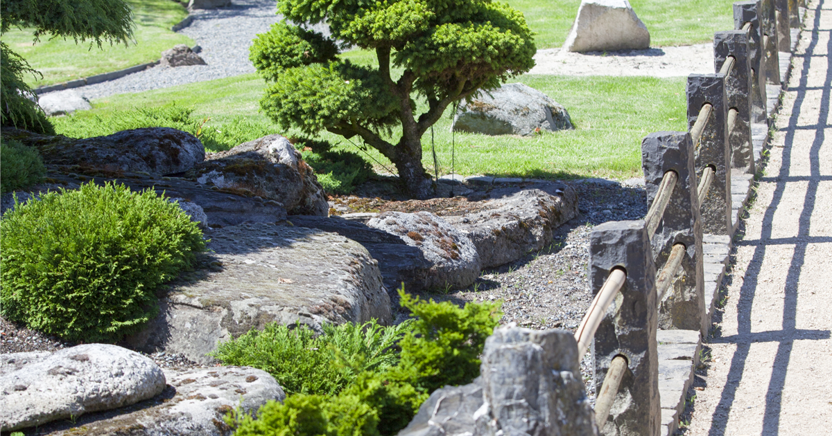 Der Japanische Garten - Idylle im Einklang - Da blüh' ich auf